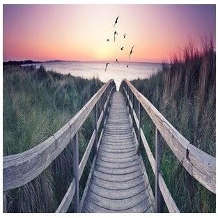 iPad  第５世代、第６世代 9.7インチ ３点セット 保護フィルム＆タッチペン オリジナル ケース smart cover 9.7ケース ゆうパケット送料無料 | iPad | 04