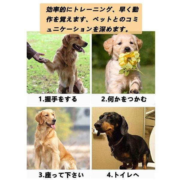 犬 クリッカー しつけ リストバンド 犬の訓練用 クリッカートレーニング ペット用品 ペット ストラップ付き 送料込み |  | 04