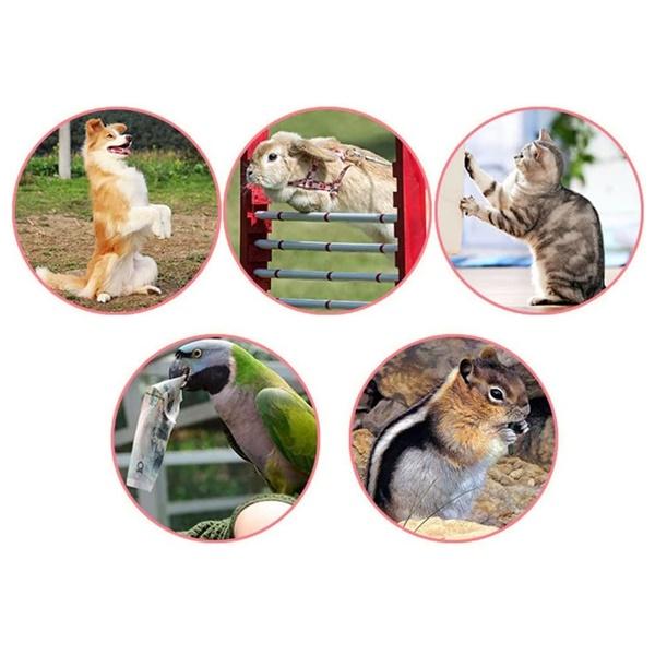 犬 クリッカー しつけ リストバンド 犬の訓練用 クリッカートレーニング ペット用品 ペット ストラップ付き 送料込み |  | 08