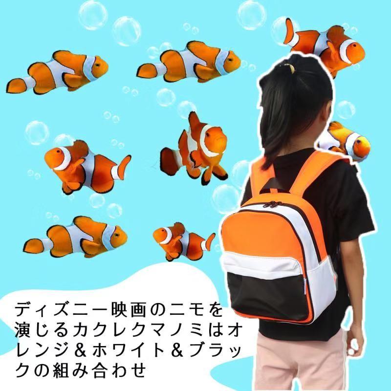 新商品 洗える リュック 子供 リュックサック キッズ 保育園 女の子 男の子 幼稚園 園児 幼児 通園 遠足 こども 軽量 ブラック 迷彩 人気 黒 Bighas 送料無料 Supplystudies Com