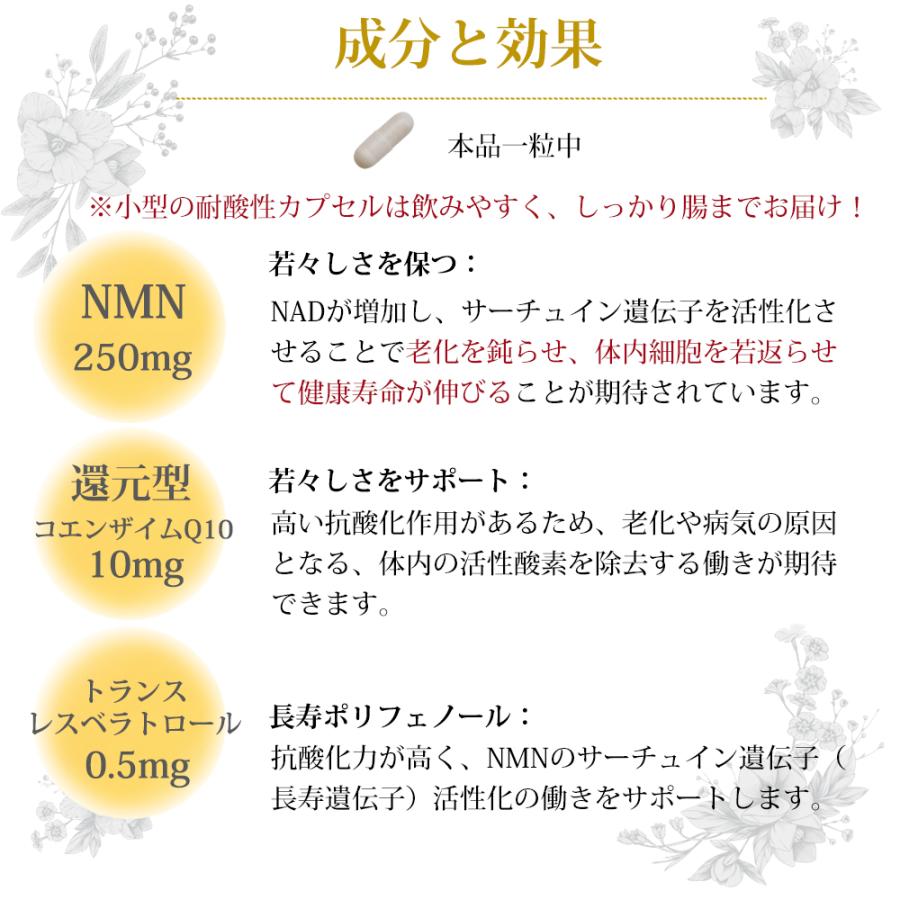 NMN 老舗ブランド ユニマットリケン 15000mg 日本製 GMP認定 腸まで