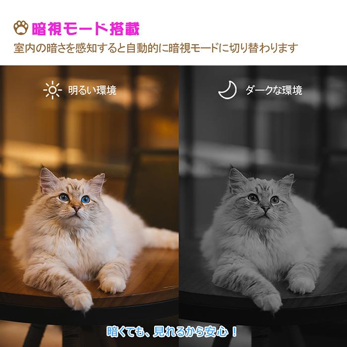 ●Sko●Ciaobot 自動給餌器 猫 中型犬用 6L 新品未開封 Amazon | Ciaobot 自動給餌器 猫 中小型犬用 6L 大容量 【小動物
