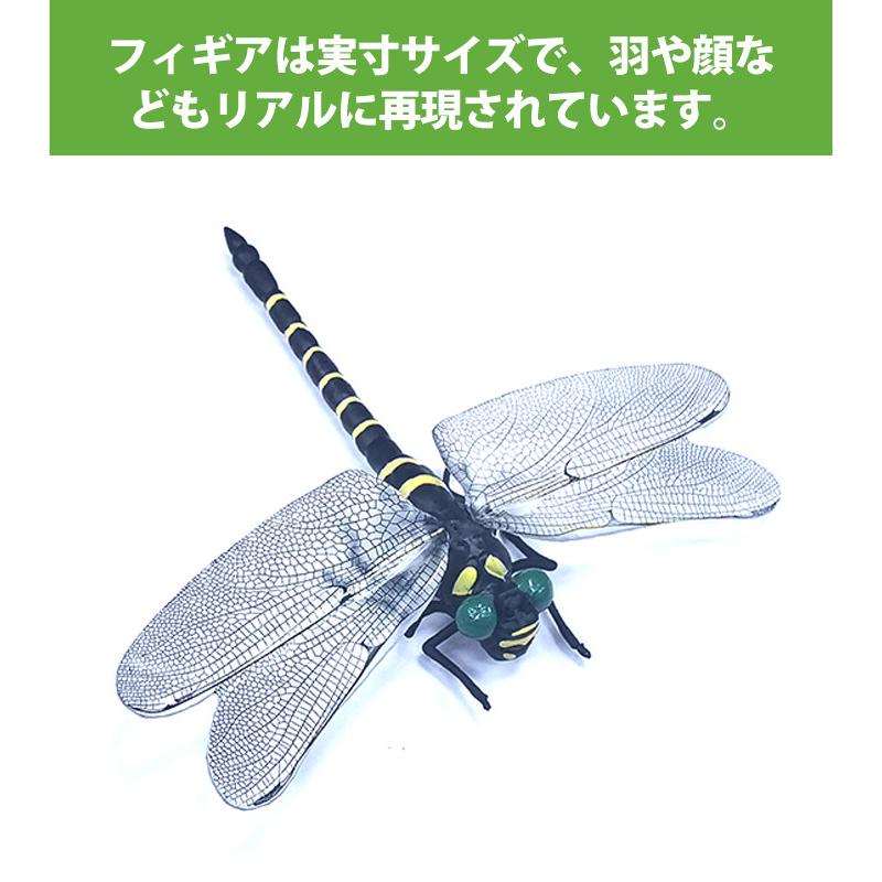 アウトレット送料無料 2個セット 虫よけ とんぼ オニヤンマ 虫除け フィギュア キーホルダー 12cm トンボ おにやんま 昆虫 模型 アウトドア キャンプ ウォーキング 釣り Cisama Sc Gov Br