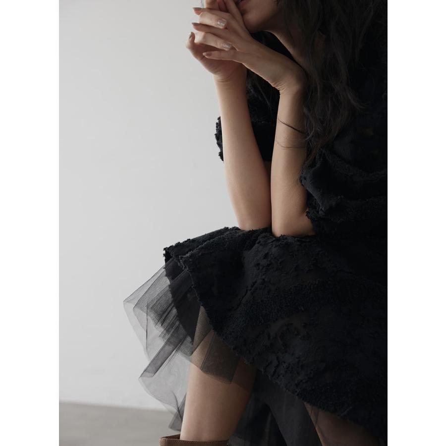 COEL（コエル） チュールレイヤードシアージャガードスカート : ビッグ