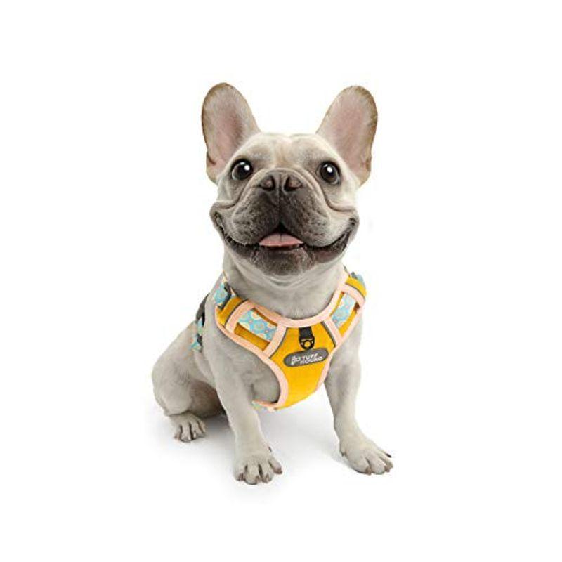 日本正規代理店品tuff Houndハーネス メッシュ素材 通気性一番 軽量 小型犬 中型犬 大型犬 胴輪 調節可能 散歩用 胴回り48 ハーネスリード Www Arrowspeedline Com Vn
