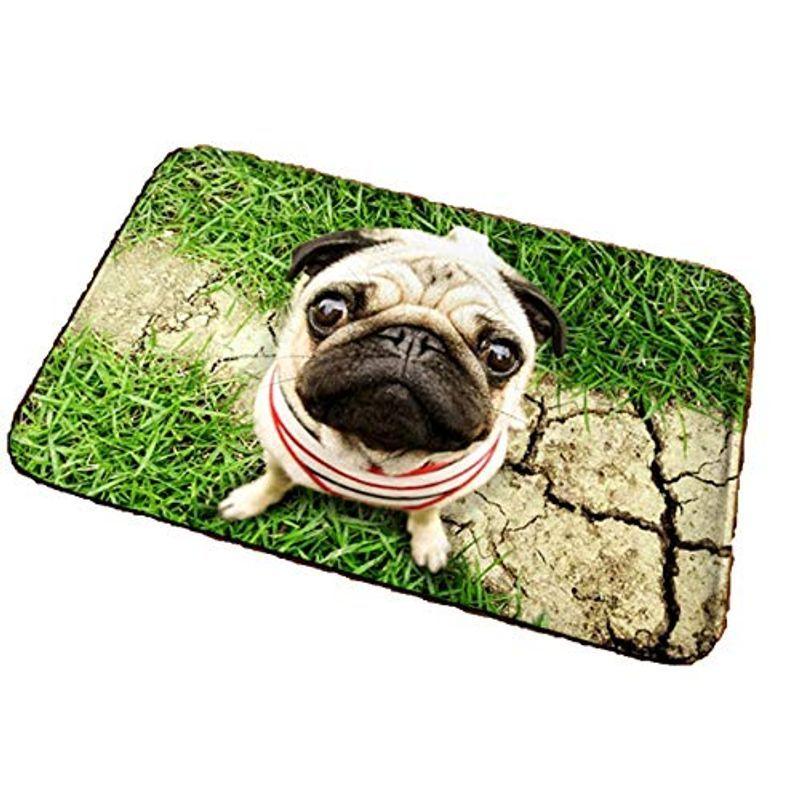 ザザランド 玄関 マット パグ 見上げる わんこ ワンちゃん 犬 3d風 リビング ラグ グリーンロード 格安人気