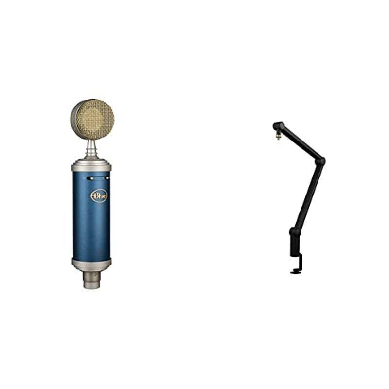 期間限定特価 Blue Microphones Bluebird Sl Xlr マイク コンデンサーマイク ショックマウント付き マイクスタンドセット B 在庫あり 即納 Turningheadskennel Com