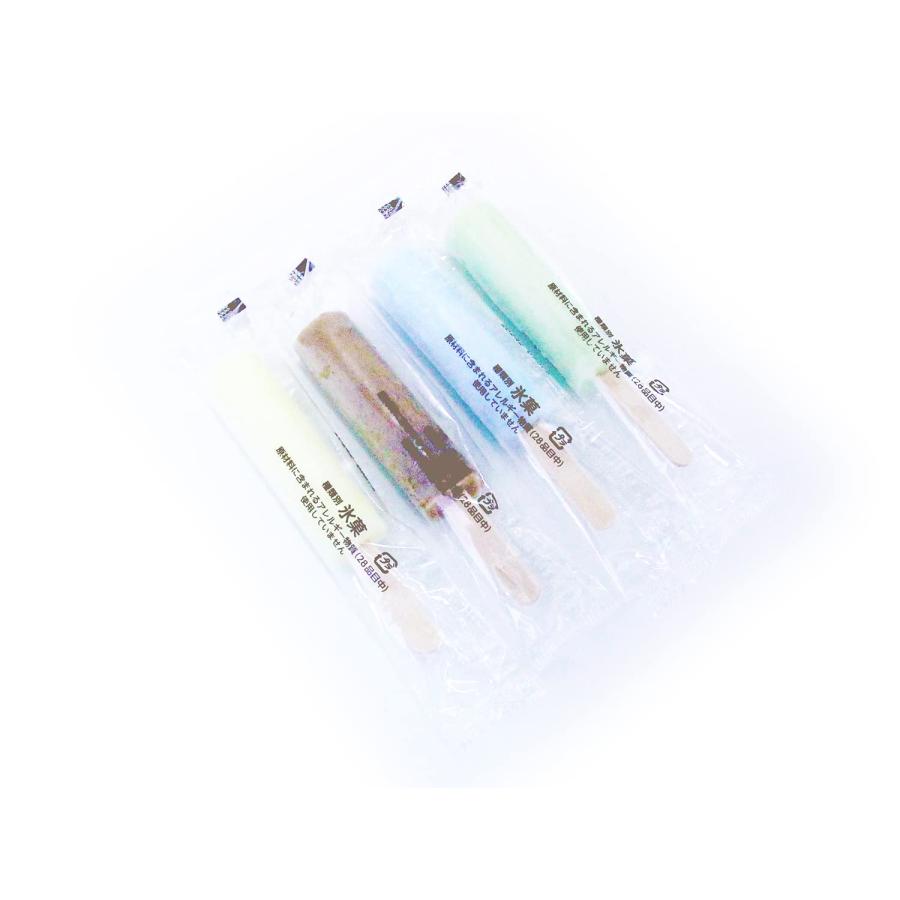 業務用アイスキャンディ 4種入 25ml×16本 ×8ケース : ビッグ