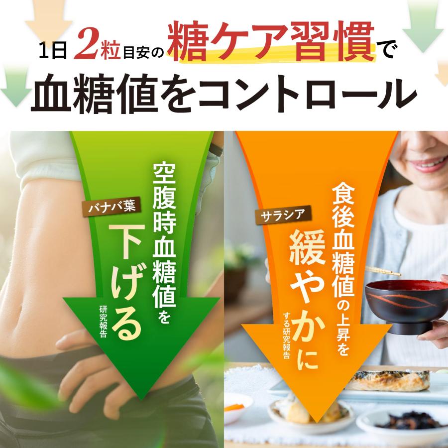 糖質　プロネス　（150粒） 楽天市場】糖貫プロネス 15g ( 250mg × 60粒 ) 30日分 みなわ