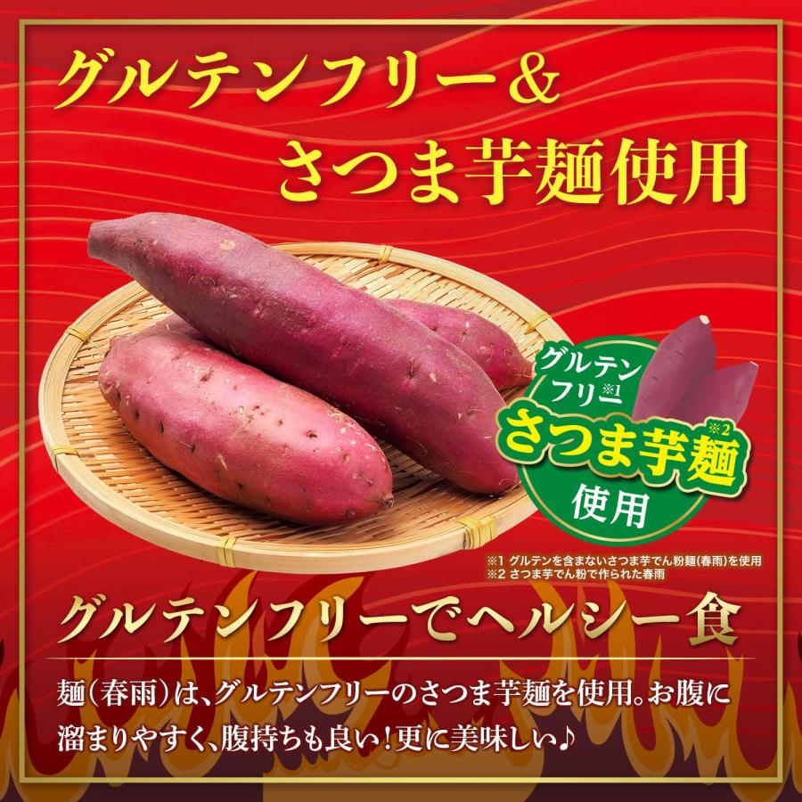 医食同源ドットコム 麻辣湯 (マーラータン) 88g × 12食 グルテン