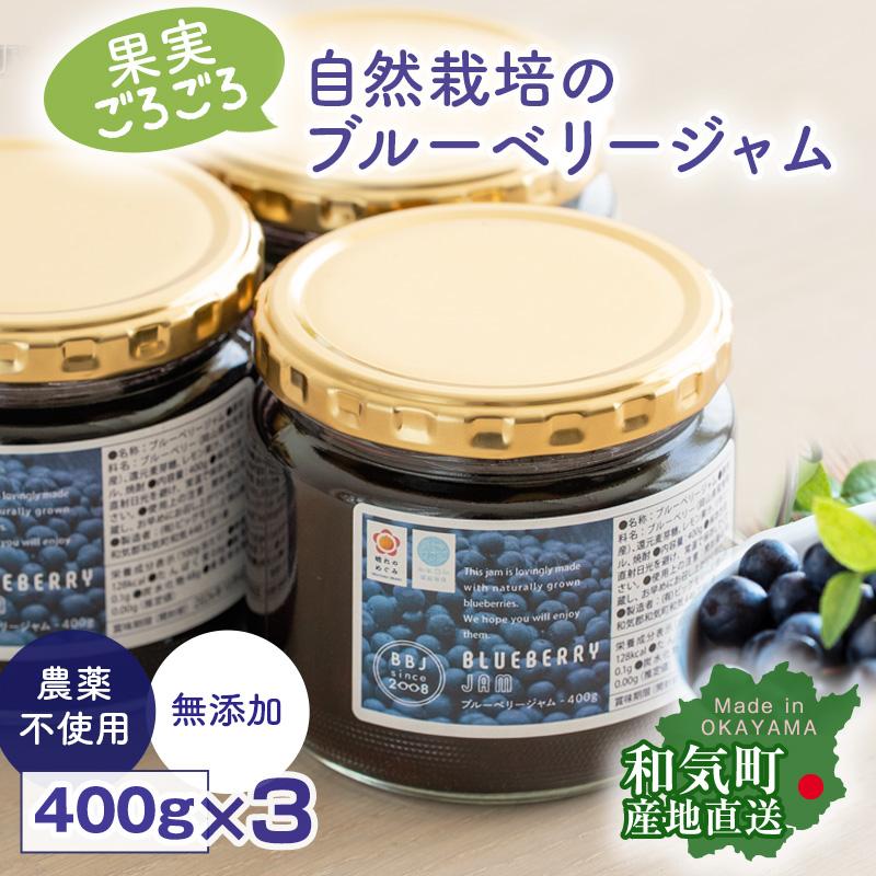 ジャム用ブルーベリー販売 （農薬無使用）