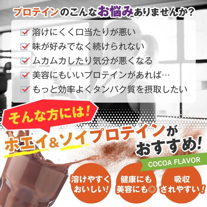 【20個】ホエイ\u0026ソイプロテイン ココア味 300ｇ (約30回分) 粉末タイプ 計量スプーン付 国産 豊富な栄養素 飲みやすいの画像