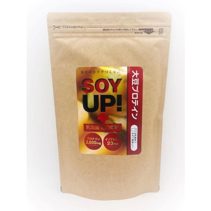 誠心製薬 SOY UP 300g(約30回分） 豆乳風味 国産 大豆イソフラボン 大豆プロテイン 乳酸菌｜bignetmall1