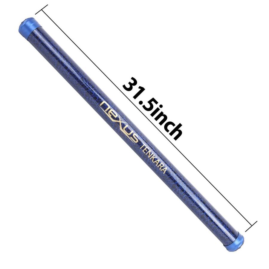 公式店舗 本流 テンカラ竿 ダブルズーム Nexus 3 9 M 4 5 M 最安値 Kwsrbd Com
