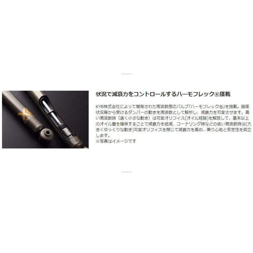 JAOS BATTLEZ ジャオス バトルズ ダンパー VFS ver.A(40) 2018.07-25.10 ジムニー JB64系 B775513_8
