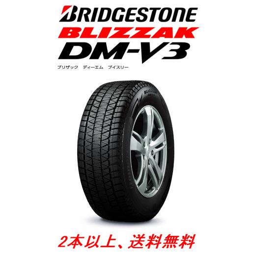 キナリ・ベージュ ブリヂストン BLIZZAK DM-V3 ブリザック ディーエム