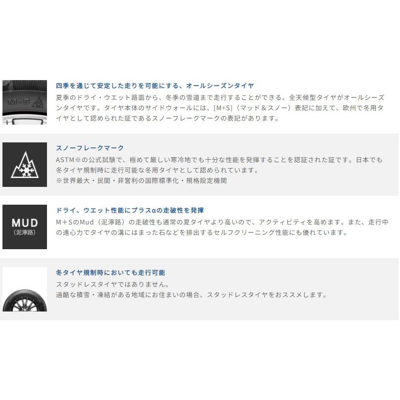 グッドイヤー VECTOR 4SEASONS CARGO ベクター フォーシーズンズ カーゴ 165/80R13 90/88N オールシーズンVANタイヤ １本価格 ２本以上ご注文にて送料無料の画像