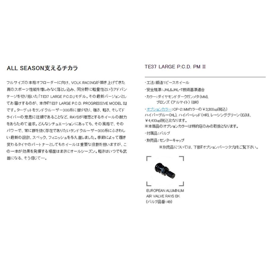 まいページ JAOS ジャオス フェンダーガーニッシュ type-X 塗装品 マット