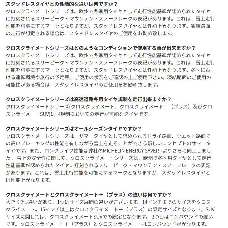 ミシュラン クロスクライメート プラス 205/65R15 99V XL オールシーズン & WEDS ライツレー VS 6.0J-15 +43 5H114.3 ブラックメタリックポリッシュ｜bigrun-ichige-store｜08