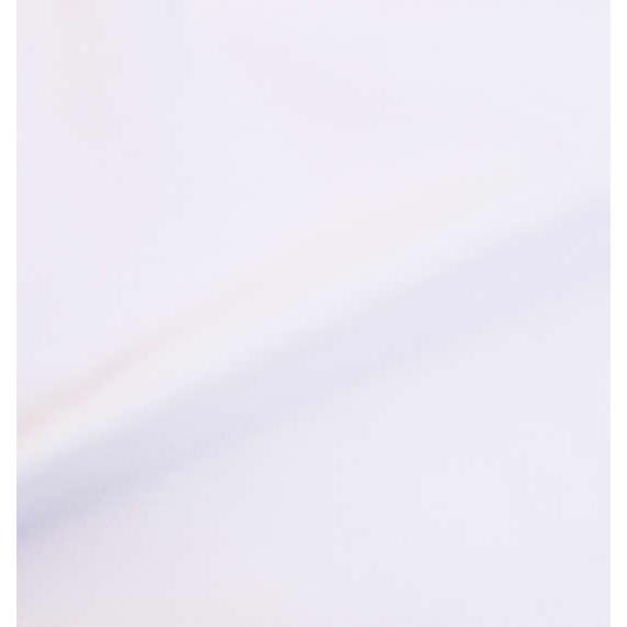抗菌防臭半袖Tシャツ 大きいサイズ メンズ PUMA  ホワイト｜bigsize｜03