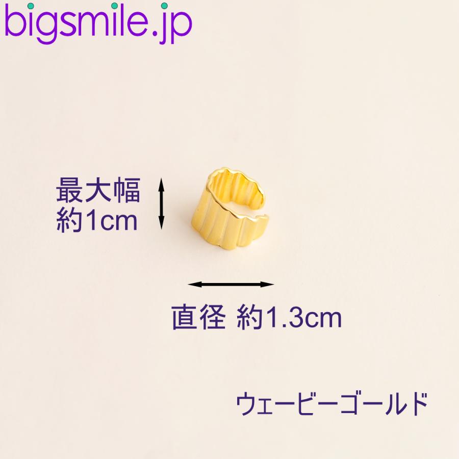 イヤーカフ イヤークリップ イヤリング ピアス ノンホール 痛くない ゴールド 華やか 全2色 カジュアル オフィス ギフト プレゼントに最適　 |  | 01