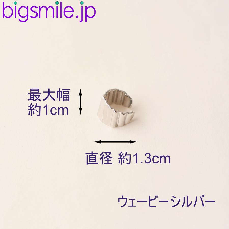 イヤーカフ イヤークリップ イヤリング ピアス ノンホール 痛くない ゴールド 華やか 全2色 カジュアル オフィス ギフト プレゼントに最適　 |  | 02