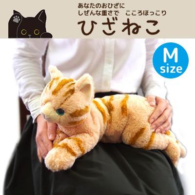 ひざねこ ぬいぐるみ M ブラウン P 1812 171 ビッグスターネットショップ 通販 Yahoo ショッピング