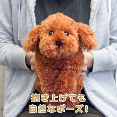 ひざわんこ ぬいぐるみ トイプードル ブラウン P 3032 171 ビッグスターネットショップ 通販 Yahoo ショッピング