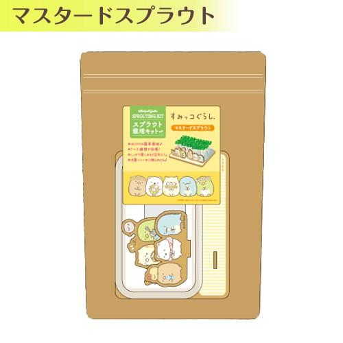 すみっコぐらし スプラウト栽培キット マスタードスプラウト Sg1250c 308 ビッグスターネットショップ 通販 Yahoo ショッピング