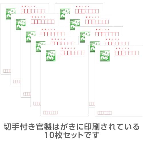 寒中見舞い 官製ハガキ 喪中はがきを出せなかった文例 記入欄 寒椿柄 10枚…｜bigsun7｜04