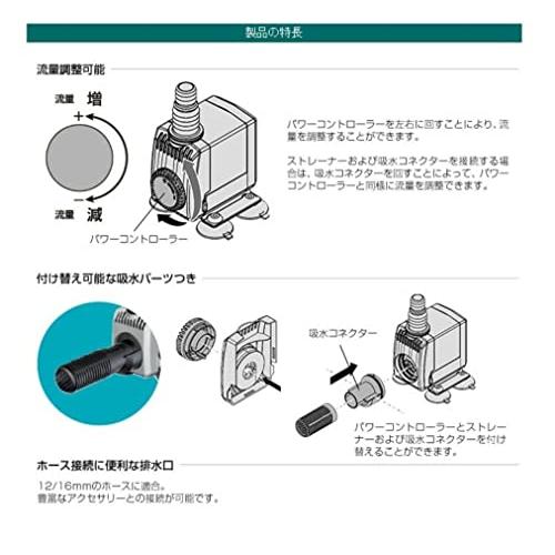 エーハイム コンパクトオン300NEW (60Hz・西日本地域用)｜bigsun7｜05