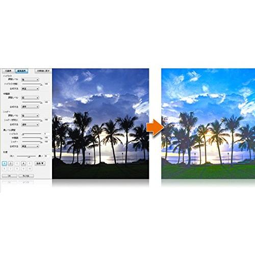 Paintgraphic 4 Pro(最新) * 写真・画像編集ソフト * Photoshop形式にも対応 * Win対応｜bigsun7｜02