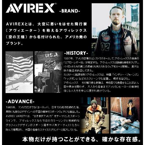 [アヴィレックス]AVIREX アビレックス イーグル ショルダーバッグ ウエストポーチ ヒップバッグ 2way メンズ レディース AVX342L avirex-013 (ブラック)｜bigsun7｜02