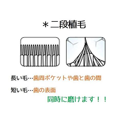 TePe テペ 歯ブラシ スプリーム コンパクト 20本入｜bigsun7｜02