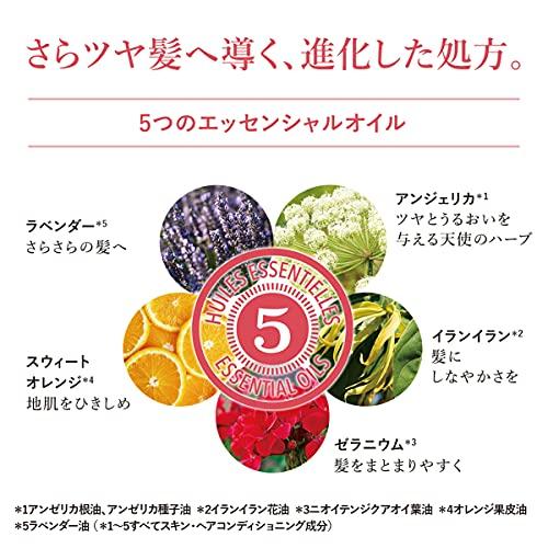 ロクシタン(L'OCCITANE) ファイブハーブス リペアリング コンディショナー 詰め替え 500mL トリートメント 500ミリリットル (x 1)｜bigsun7｜03