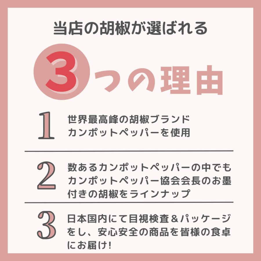 生胡椒 塩漬け カンポットペッパー 生こしょう 10g×3P オーガニック カンボジア 粒 スパイス ブラックペッパー｜bigupcrew｜04