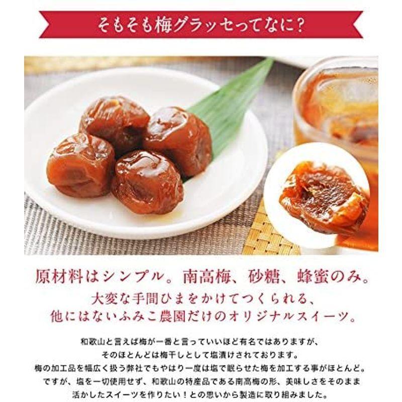 1657円 正規店 ふみこ農園 国産 完熟梅スイーツ 梅グラッセ12粒 ギフト用木箱入