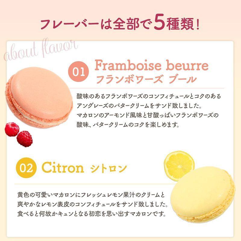 注目 産休 お菓子 あいさつ パパママ赤ちゃんのカワイイイラストのメッセージマカロン 個セット 手作り スイーツ ギフト Saogabriellimpeza Com Br