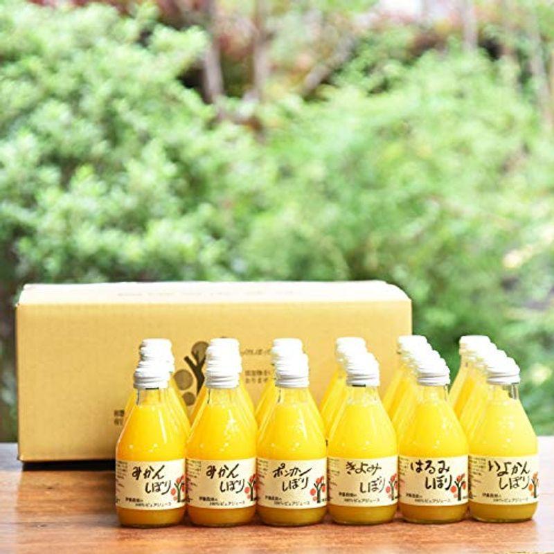96%以上節約 みかん ギフト ジュース スイーツ みかんジュース オレンジジュース 100% 無添加 ストレート 180ml × 30本 セット wantannas.go.id 96%以上節約 みかん ギフト ジュース スイーツ みかんジュース オレンジジュース 100% 無添加 ストレート 180ml × 30本 セット wantannas.go.id