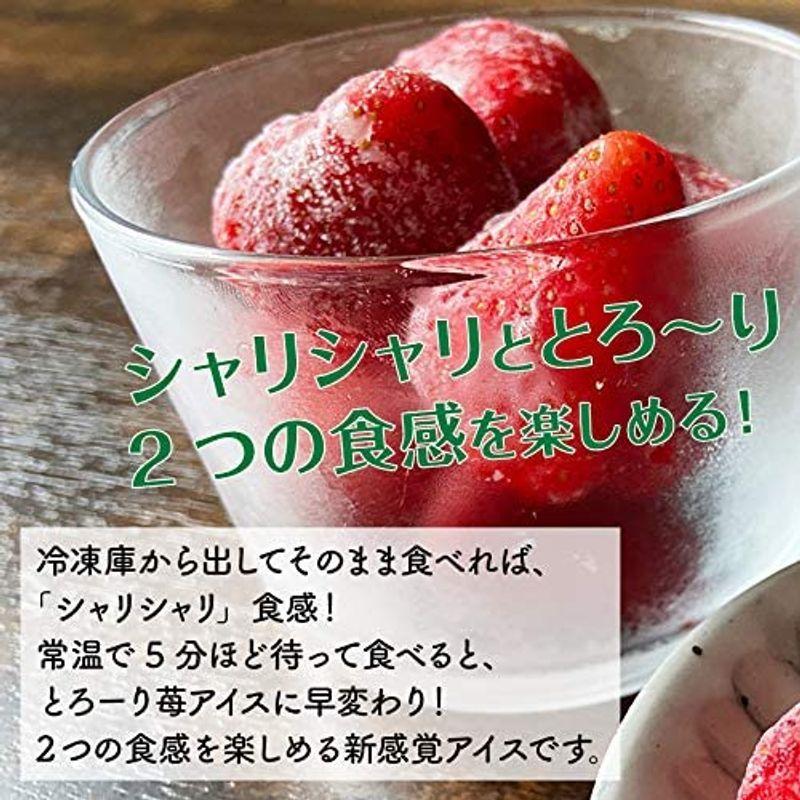 ランキング総合1位 前田家 かわいい 苺 練乳 ホワイトチョコレート アイス 50粒 クリーム スイーツ 冷凍 洋菓子 春摘み苺アイ Wantannas Go Id