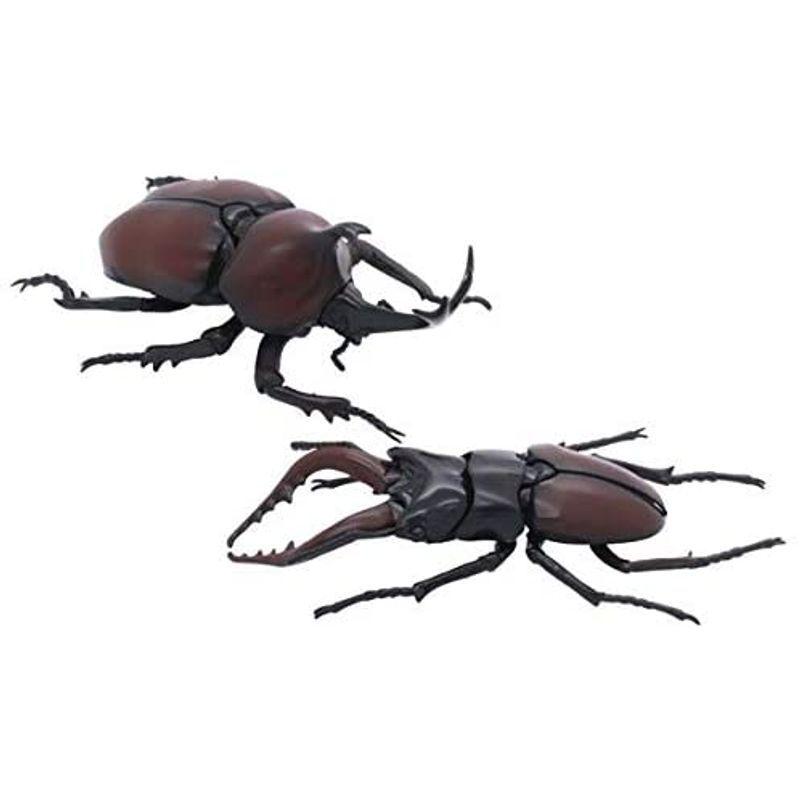 フジミ模型 自由研究シリーズ No 25 いきもの編 クワガタムシvsカブトムシ 対決セット ノンスケール 色分け済み プラモデル 自由研究 ビッグウェイブ 通販 Yahoo ショッピング