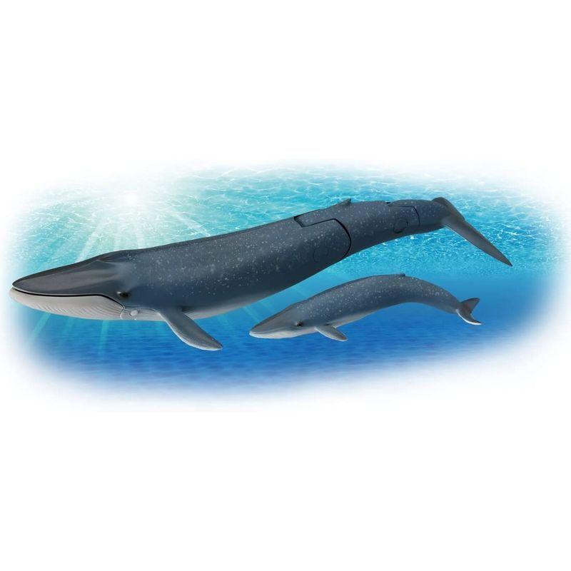 新しい到着 シロナガスクジラ親子　マンモス親子　アニア　AL-11 07 未開封　絶版 その他