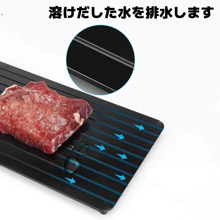 TWINBIRD 解凍プレート　速鮮力　未使用品 * Yahoo!オークション - TWINBIRDツインバード FP-511 フード付