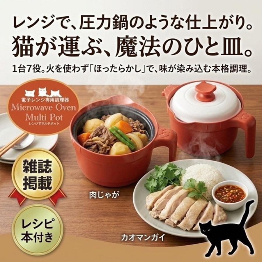 電子レンジ調理器 焼き魚 焼ける レンジパン レシピ付き 多機能 調理