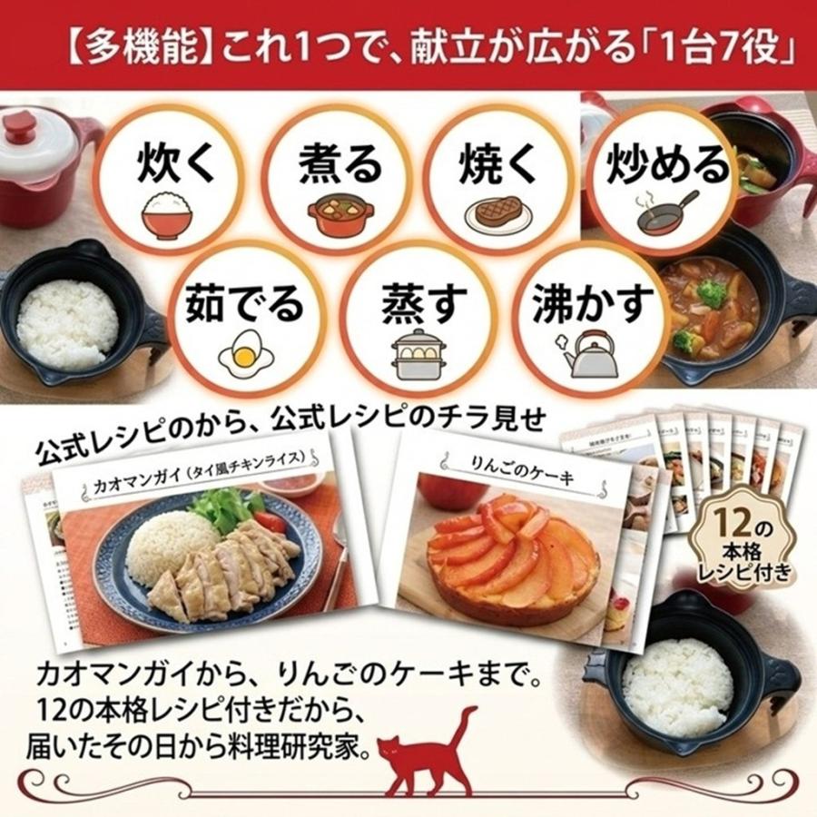 電子レンジ調理器 焼き魚 焼ける レンジパン レシピ付き 多機能 調理