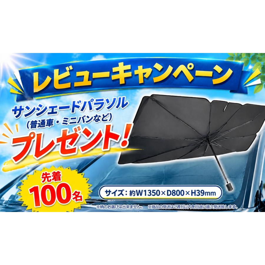 日傘 完全遮光 100% 折りたたみ傘 超軽量 135g カーボン 55cm オール