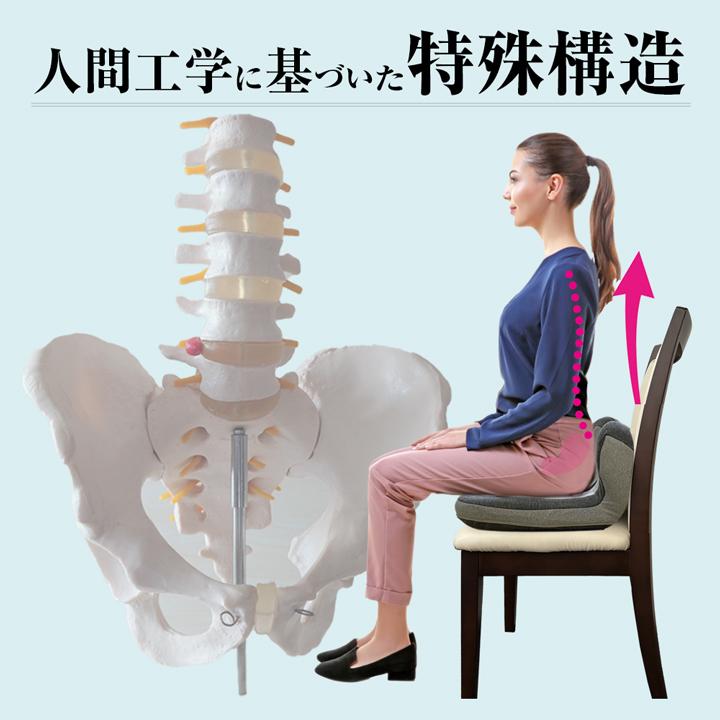 コシックス 姿勢 クッション 椅子 体圧 置き型 低反発ウレタン 穴あき