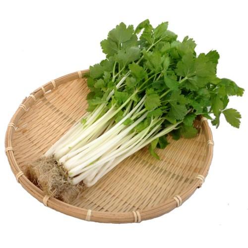 新鮮野菜 産地直送 ビッグヤード新鮮水耕野菜 ミニホワイトセロリ 100gパック 国内最安値