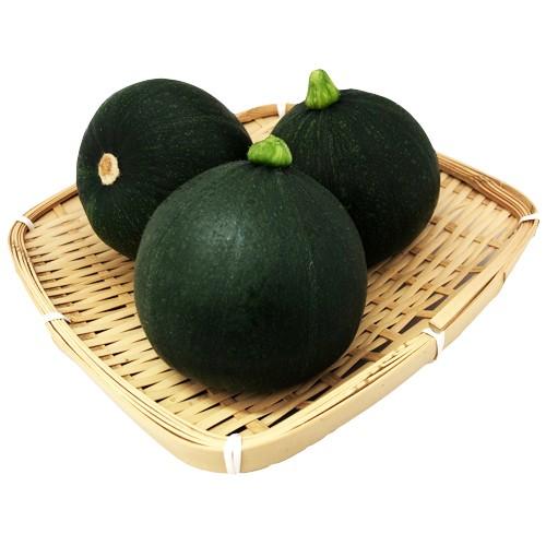新鮮野菜 産地直送 ビッグヤード新鮮水耕野菜 グリーン丸ズッキーニ 業務用バラ Kg売 通販 激安