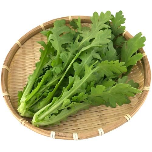 新鮮野菜 産地直送 ビッグヤード新鮮水耕野菜 サラダ春菊 業務用バラ Kg売 希少